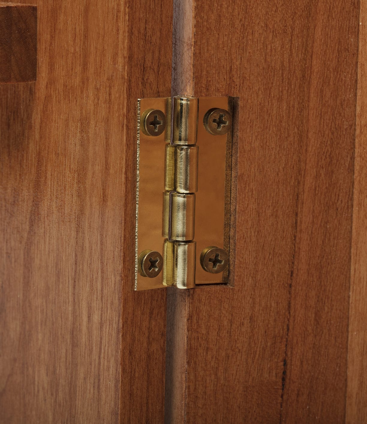 Close-up of a brass hinge installed on a wooden door, showing the screws securing the hinge to the wood.